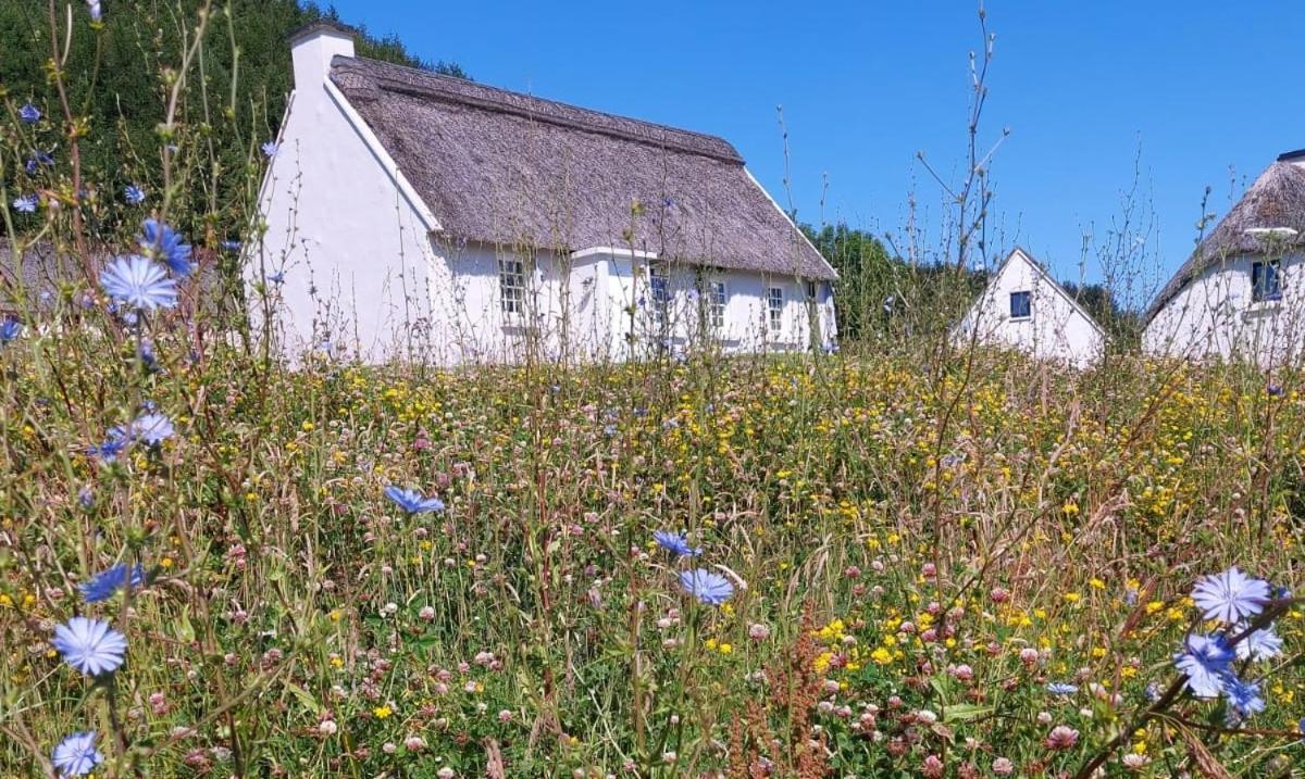 Corofin Lake Cottages المظهر الخارجي الصورة